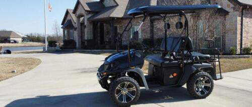 golf-cart-home-rec-use2 (1)